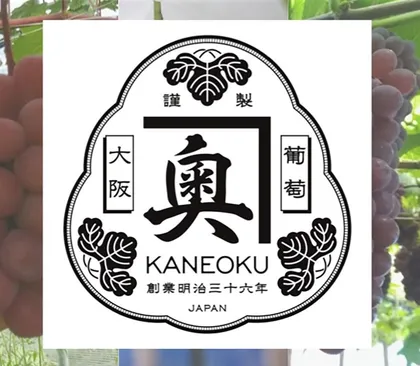 奥野 成樹のプロフィール写真